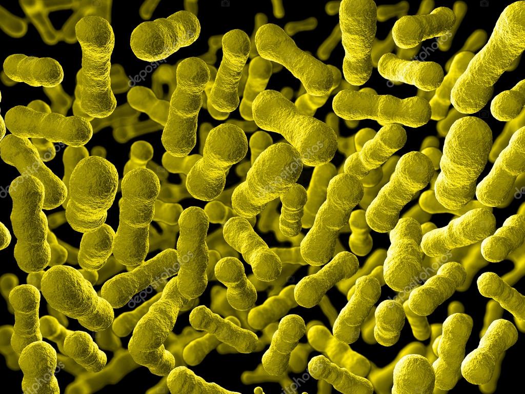 Lactobacillus. Lactobacillus rhamnosus. Lactobacillus rhamnosus hn001. Lactobacillus rhamnosus под микроскопом. Ацидофилус бактерия.